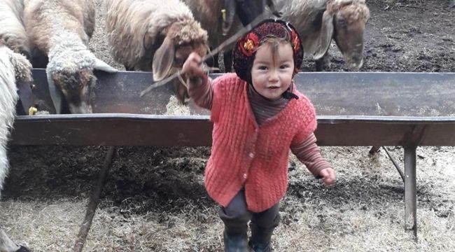 Müslüme'den acı haber! 