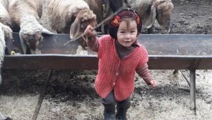 Müslüme'den acı haber! 