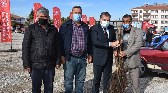 Çiftçilere fidan desteği 