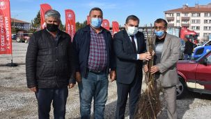 Çiftçilere fidan desteği 