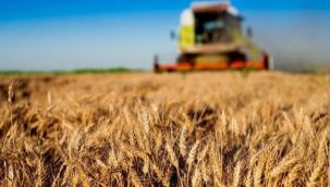 Çiftçiye tarımsal destekler hesaplara aktarıldı