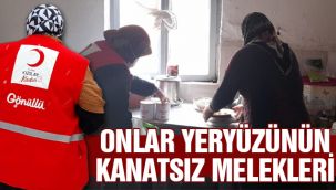 Gönüllüler destek için sahada