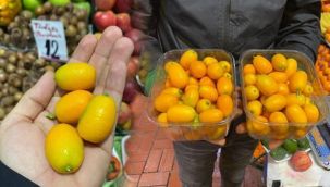 Hastalıklara şifa, C vitamini deposu: Kamkat meyvesi