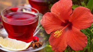 Hibiskus çayı faydaları nelerdir? 