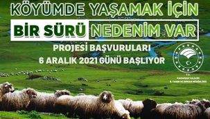 Küçükbaş hayvancılığa büyük destek