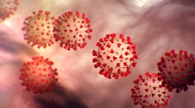 Sağlık Bakanlığından 'Omicron' açıklaması