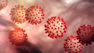 Sağlık Bakanlığından 'Omicron' açıklaması