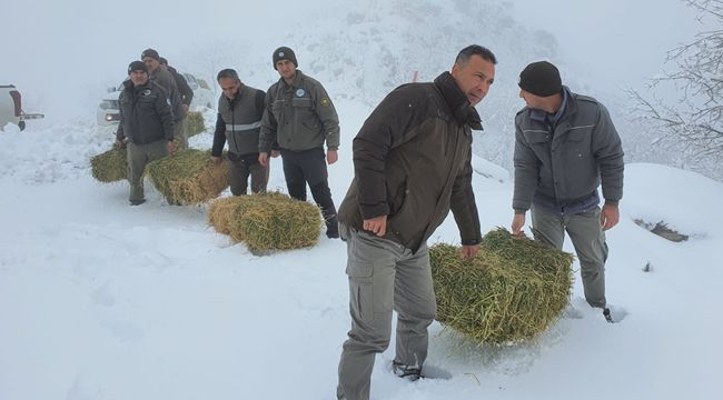 Yaban Hayvanları Unutulmadı