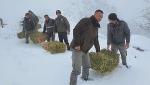 Yaban Hayvanları Unutulmadı