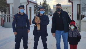 Duyarlı Vatandaştan Yaralı Şahine Şefkat Eli