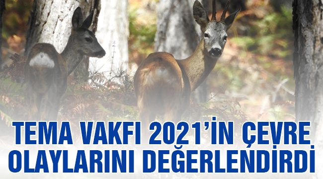 TEMA Vakfı 2021'in Çevre Olaylarını Değerlendirdi