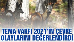 TEMA Vakfı 2021'in Çevre Olaylarını Değerlendirdi