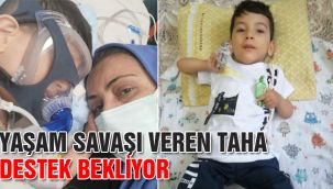 Yaşam Savaşı Veren Taha Destek Bekliyor 