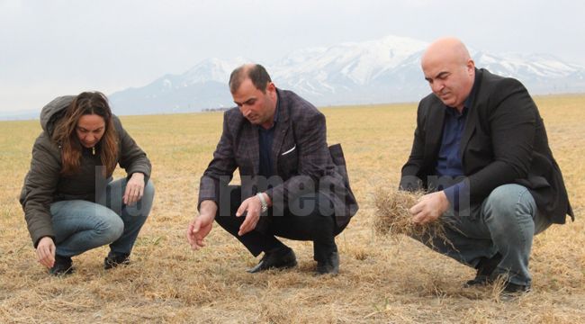 Don Buğdaya Büyük Zarar Verdi