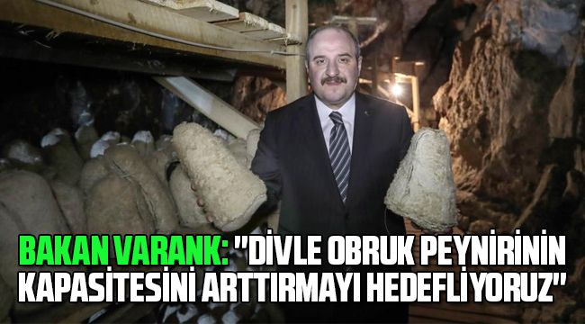 Bakan Varank: "Divle Obruk Peynirinin Kapasitesini Arttırmayı Hedefliyoruz"