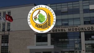 Orman Genel Müdürlüğü Karaman'da İşçi Alacak 