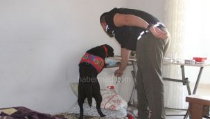 Uyuşturucu Satıcılarına Şafak Operasyonu: 18 Gözaltı