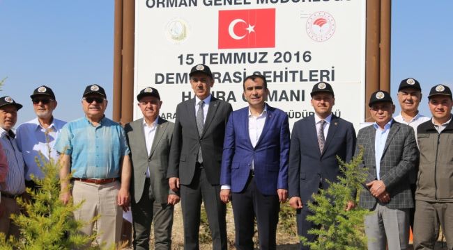 Karaman'da 15 Temmuz Demokrasi Şehitleri Hatıra Ormanı'na 251 Fidan Dikildi