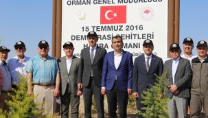 Karaman'da 15 Temmuz Demokrasi Şehitleri Hatıra Ormanı'na 251 Fidan Dikildi