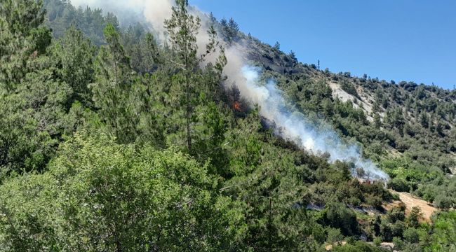 Karaman'da çıkan orman yangını kısa sürede kontrol altına alındı