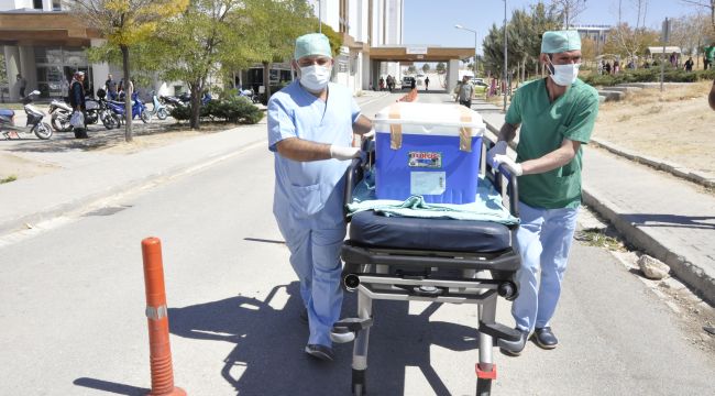 Karamanlı Okan'ın organları 4 hastaya umut oldu