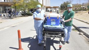 Karamanlı Okan'ın organları 4 hastaya umut oldu