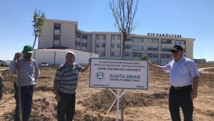 KMÜ 'de peyzaj çalışmaları devam ediyor