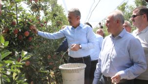 Vali Tuncay Akkoyun, elma hasadı yaptı 