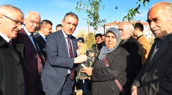 Karaman'da çiftçilere 80 bin adet fidan dağıtıldı