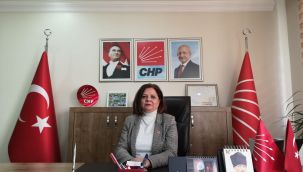 CHP'nin yeni Karaman İl Başkanı Yıldız oldu