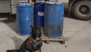 Durdurulan tırda kaçak sigara ve mazot ele geçirildi