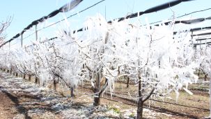 Karaman'da buzulları anımsatan görüntü 