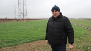 Karamanlı üretici yağan yağmurla sevindi 