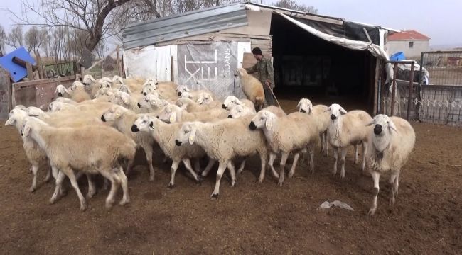 Üreticiler, yabancı uyruklu çoban ve tarım işçileri için sabit maaş düzenlemesi istiyor
