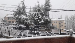 Karaman'ın yüksek kesimleri yağan karla beyaza bürüdü