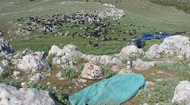 Karaman'da bir kadın eşi ve kendisini darp eden kayınını bıçaklayarak öldürdü 