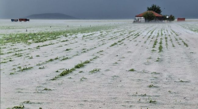 Karaman'da bu köyleri dolu vurdu, zarar büyük