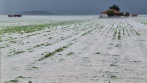 Karaman'da bu köyleri dolu vurdu, zarar büyük