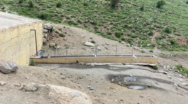 Karaman'da yılkı atlarını yakalamaya çalışan 2 kişi yakaladı