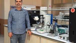 Esnek Güneş Hücreleri KMÜ'de üretilecek 