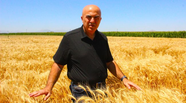 Karaman'da Alicantus ekmeklik buğdayın hasadı yapıldı