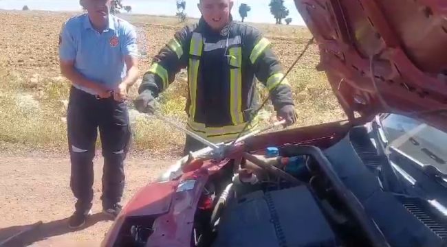 Karaman'da aracın motor kısmından 1.5 metre uzunluğunda yılan çıktı 