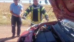 Karaman'da aracın motor kısmından 1.5 metre uzunluğunda yılan çıktı 