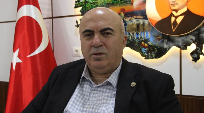 Karaman'da yaban domuzları çiftçinin korkulu rüyası oldu 