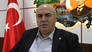 Karaman'da yaban domuzları çiftçinin korkulu rüyası oldu 