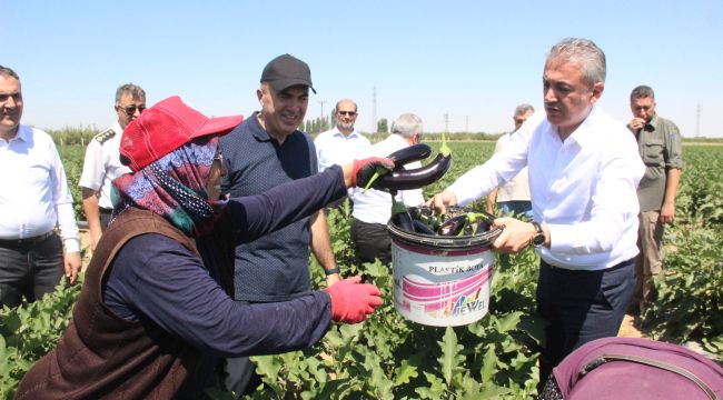 Karaman'ın hedefi elmadan sonra sebzede de söz sahibi olmak 