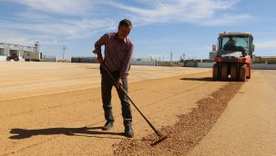 Karaman kamyon garajına kavuşuyor 