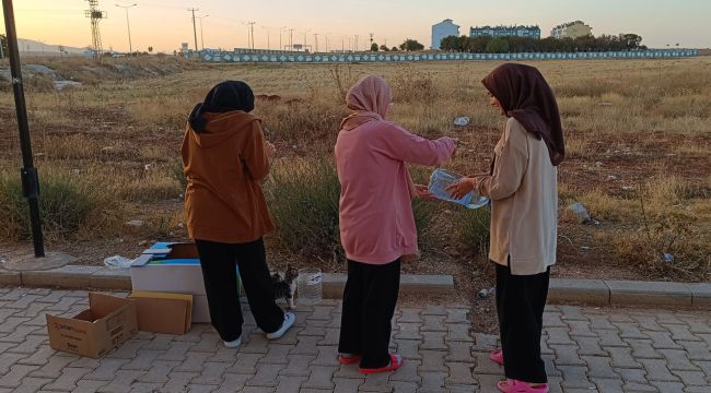 Karaman'da öğrenciler kış öncesi sokak hayvanları için barınak yaptı 