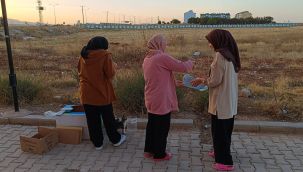 Karaman'da öğrenciler kış öncesi sokak hayvanları için barınak yaptı 