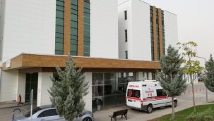 Karaman'da bir kadın yediği mantardan zehirlendi